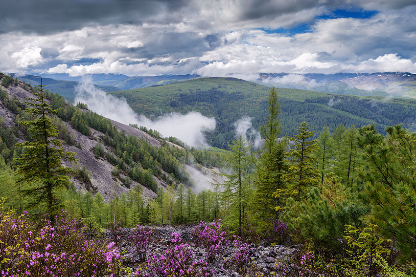 MNT_0120.jpg