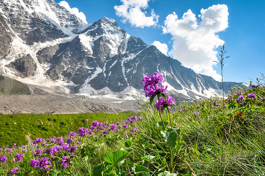 MNT_0039.jpg