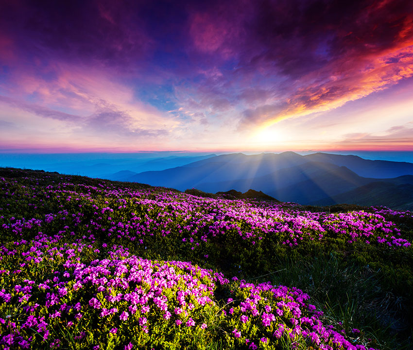 MNT_0051.jpg