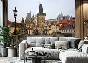 MLP_169.jpg