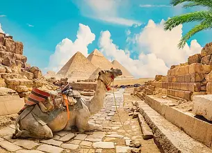 ZHN_060.jpg